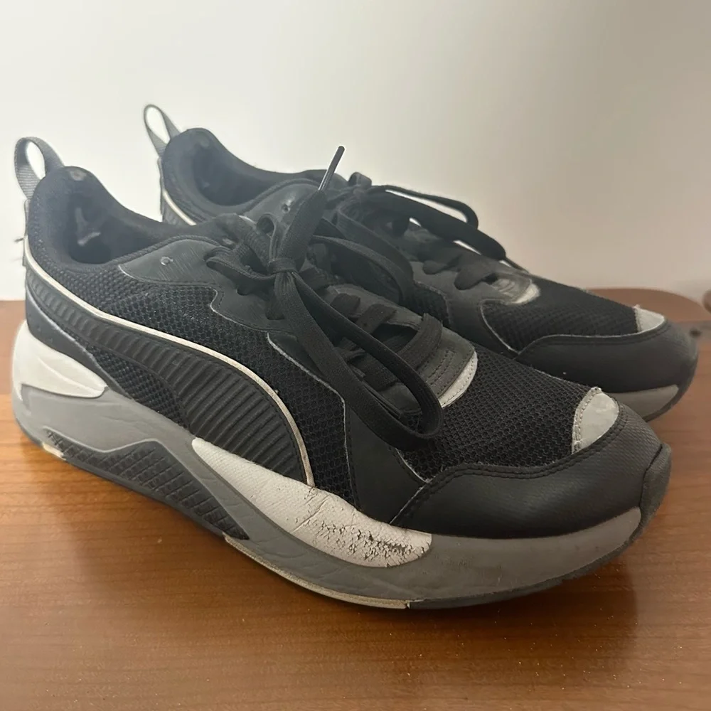 Puma pumax ray